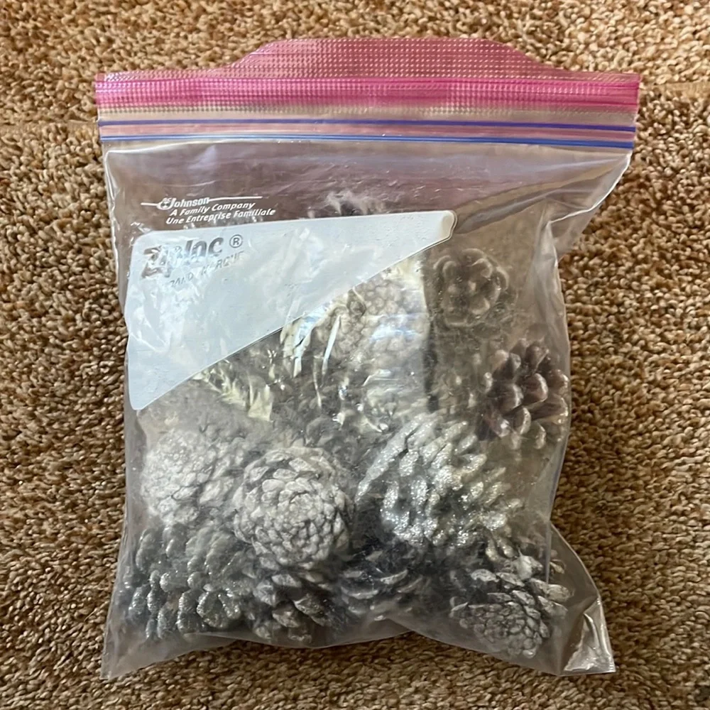 18 small white and silver pinecones